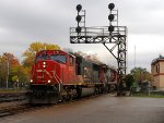 CN 393